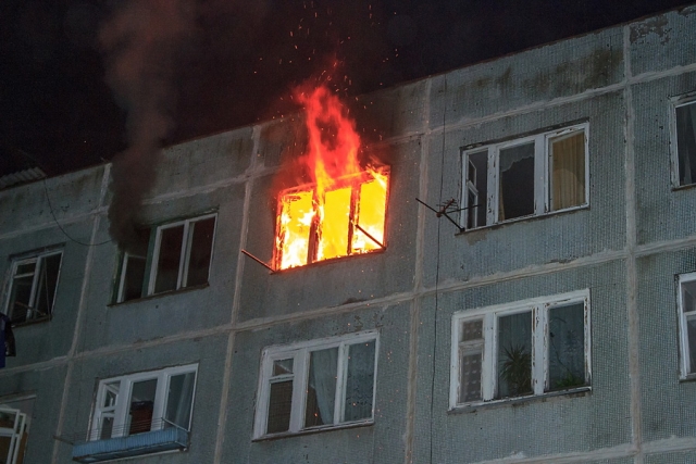 pozh.jpg